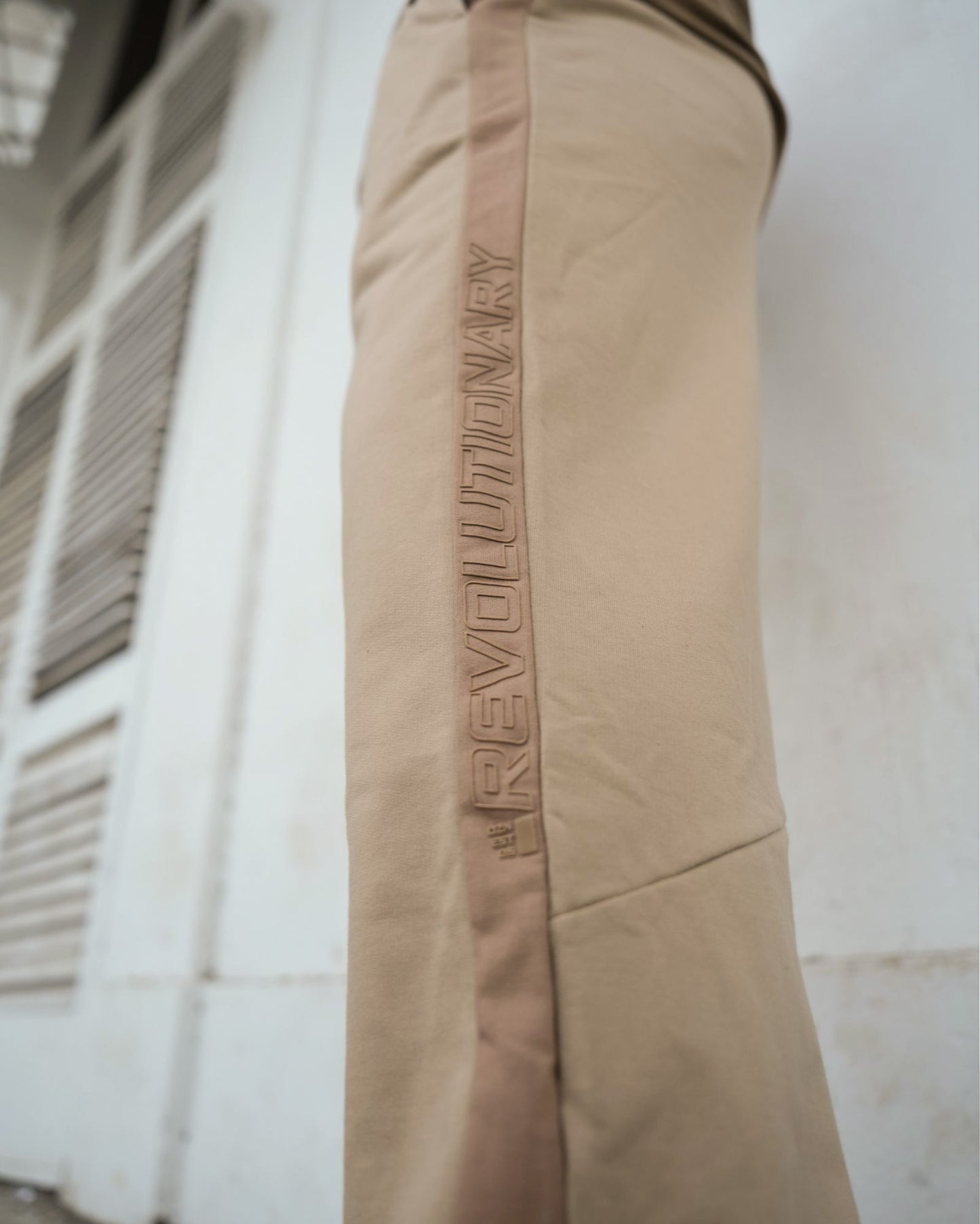 The Revolutionary Jogger
